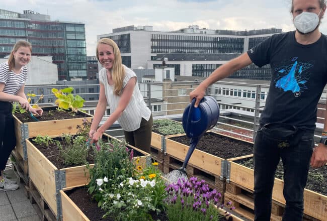 avodaq Kollegen und Kolleginnen gießen gemeinsam die Blumen des Urban Gardens